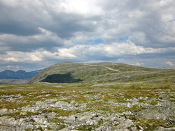 Middagshaugen