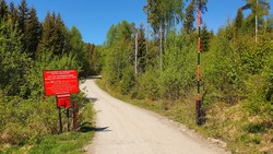 Nybuvegen bom