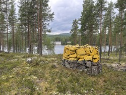 Riksrøys 117 A