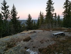 Bilihusknatten