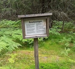 Åmotsvangen