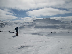Høghellernuten
