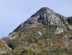 Storeknotten