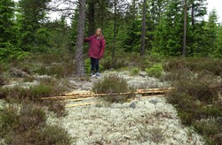 Bokerødfjellet