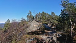 Dreng Nord