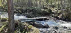 Sota elvekryssing