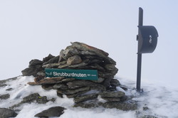 Skrubburdnuten