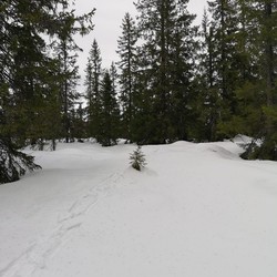 Godåsen
