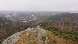 Ørnnipa
