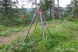 Synnersveberget