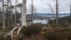 Vetlafjellet
