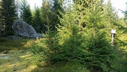 Tveitvangen