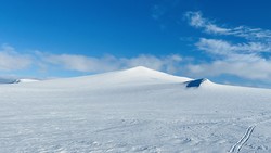 Saltfjellet-Svartisen nasjonalpark