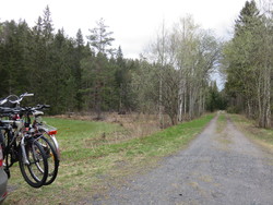 Moland parkering