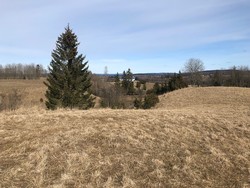 Ullershovhaugen