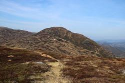 Tjønnåsheia