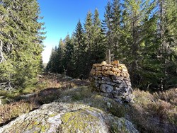 Riksrøys 68