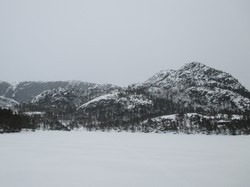 Knausane