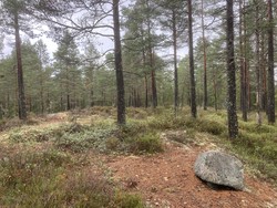Flaåsen
