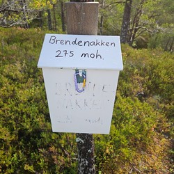Brendenakken