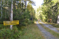 Buvassveien