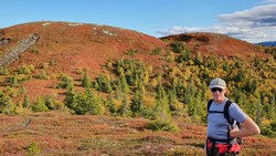 Kraknatten