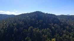 Grønåsen