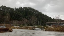 Skjenhaugane