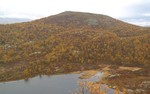 Høghaugen