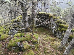 Åsen i Hesjedalen