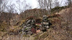 Ruin SV for Lyngtun