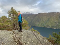 Høgafjellet
