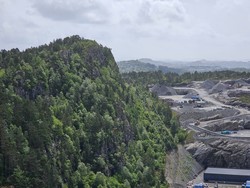 Pesvarden