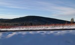 Holtankollen