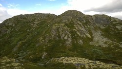 Skardsnuten