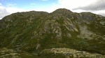 Skardsnuten