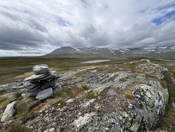 Skruvlehovda