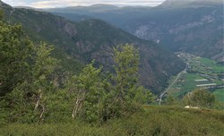Storehaugen