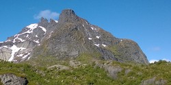 Stjernhauet