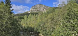 Stalheimsnipa