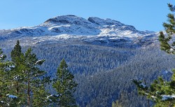Byggjingen