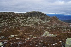 Ørneflag