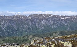 Steinnuten