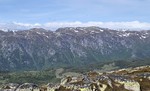 Steinnuten