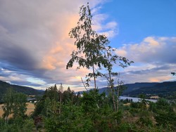 Haugen