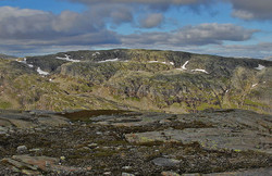 Kvitenuten