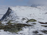Buahøin