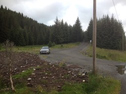 Frotveit p-lomme