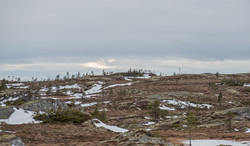 Gråberga