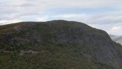 Øystølnøse